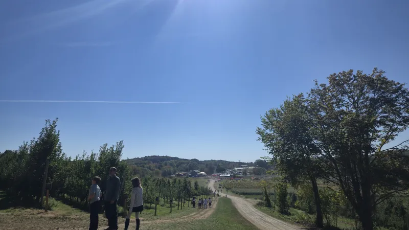 The apple farm
