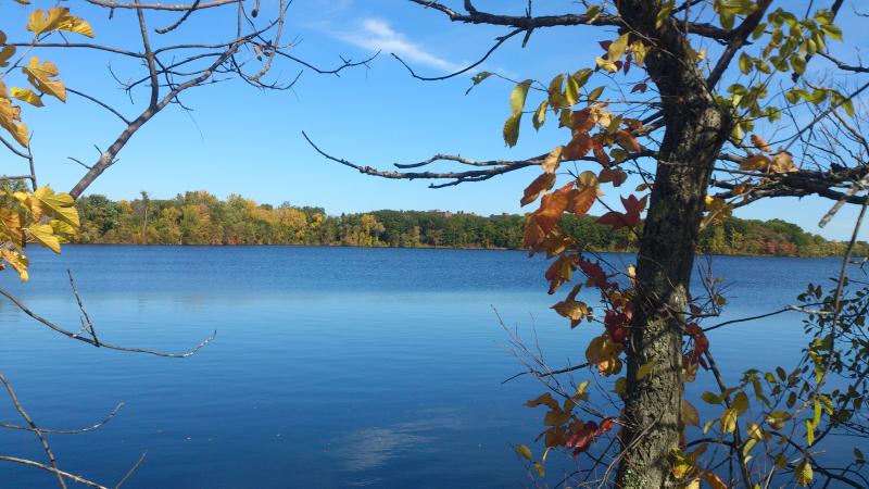 Photograph of a local reservoir called Fresh Pond