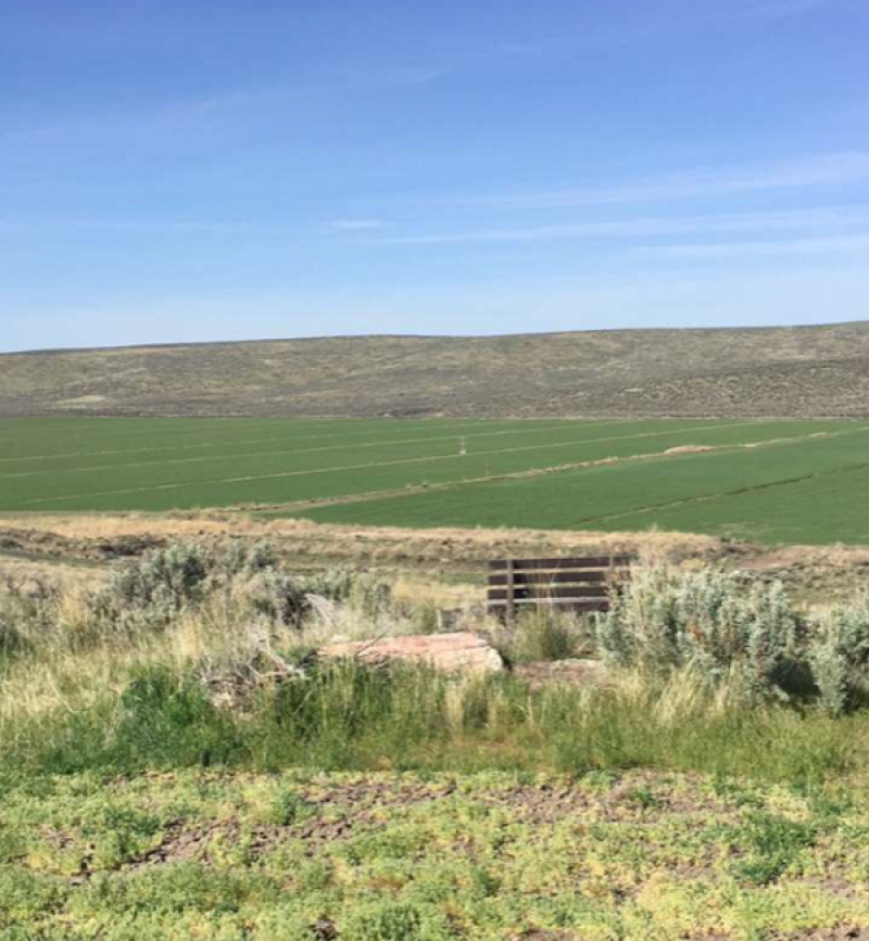 The view of a large open field from on top of a hill.