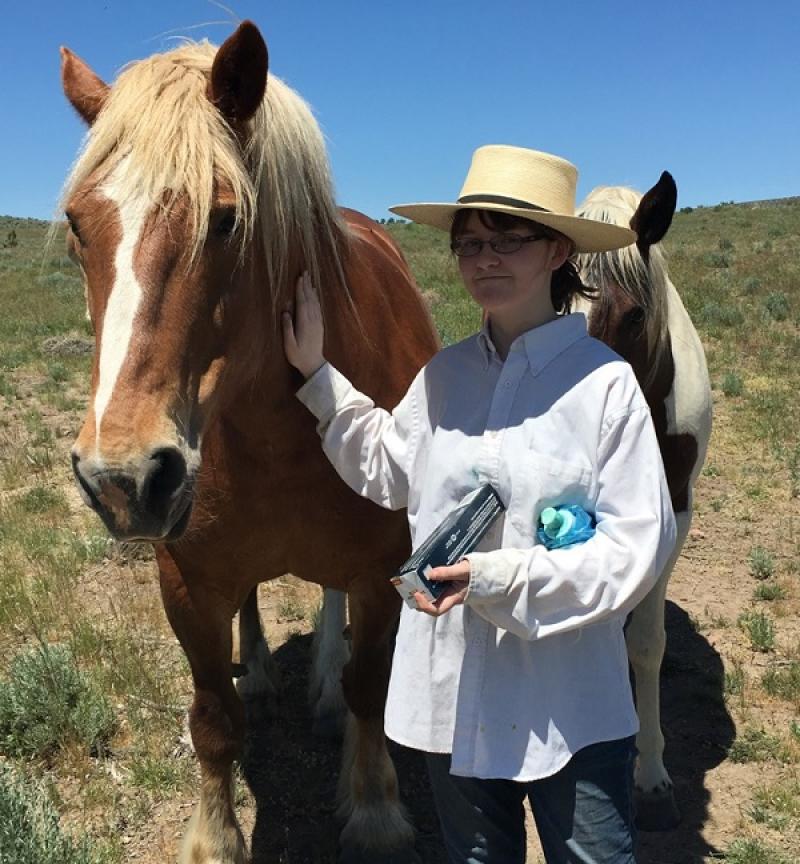 A girl stands petting a horse that is quite a bit taller than her.