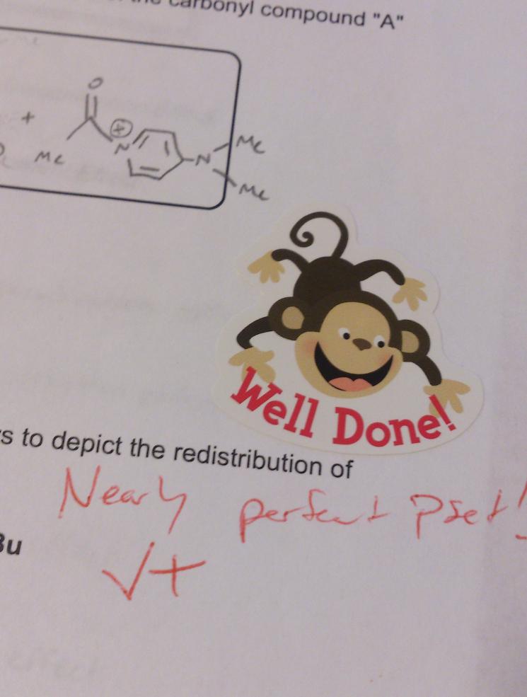 Completed homework with comments and a congratulatory sticker featuring a monkey