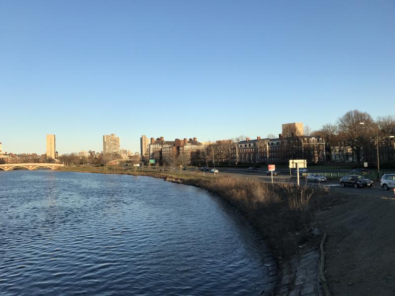 Shoreline of the Charles River