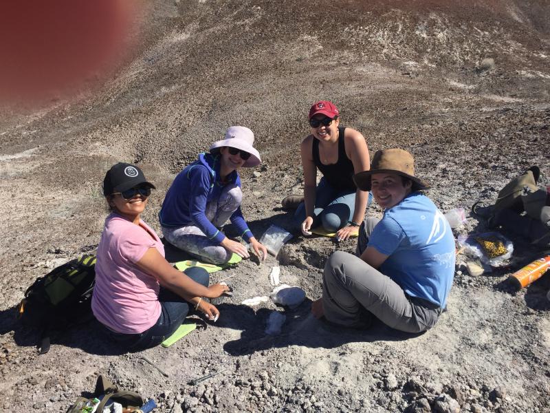 Group of students excavating fossils while on a field trip