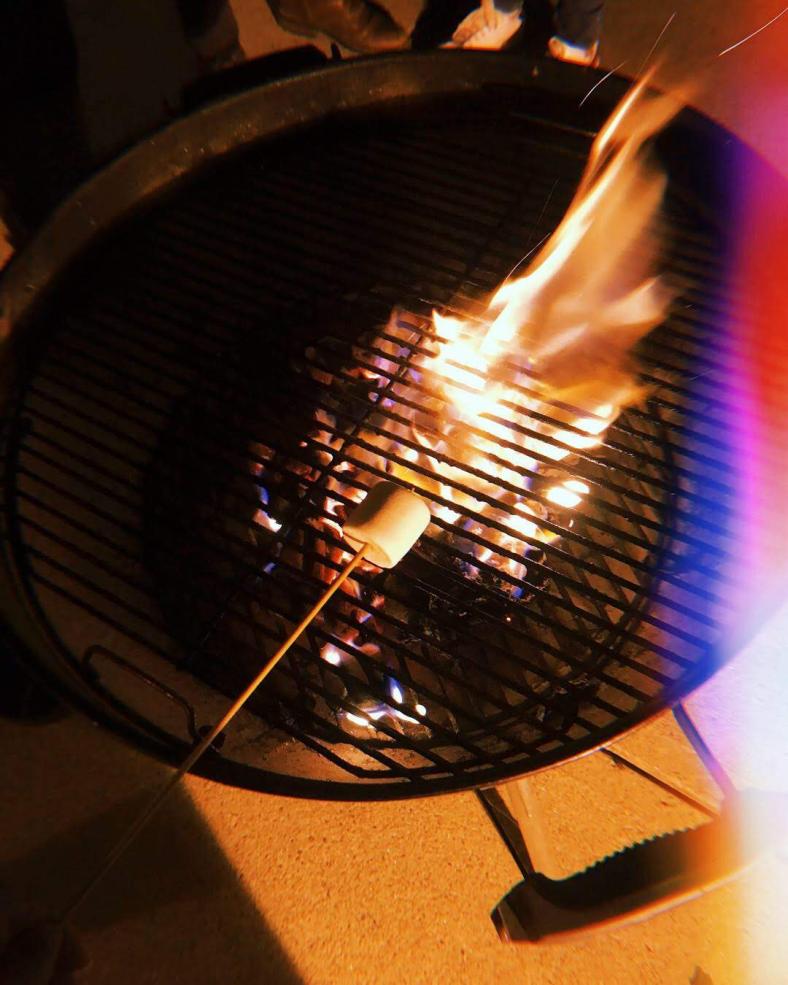 Photograph of marshmellows being roasted over charcoal grill