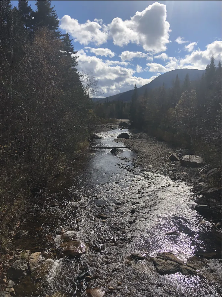 A picture of a creek