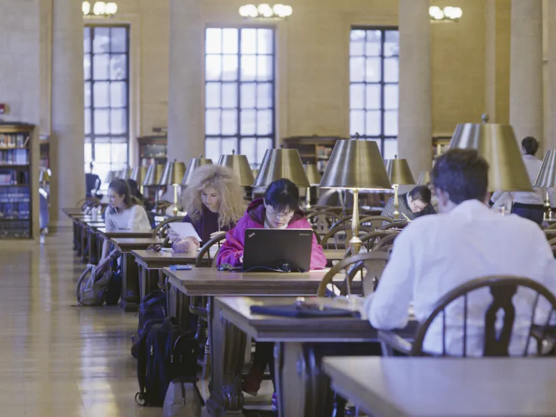Students studying in Widener Library