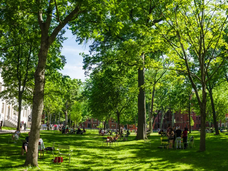 Harvard Yard in the summer
