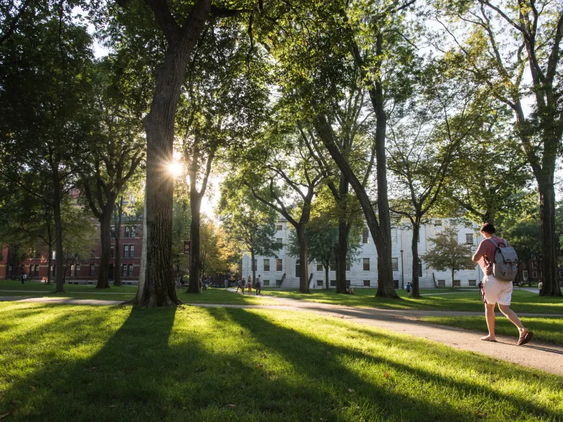 A student walks through Harvard Yard at dusk