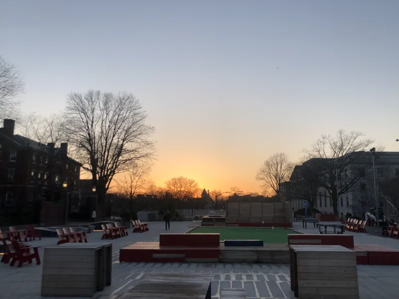 A view of the sunset and trees on campus