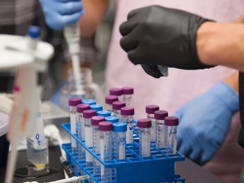 Test tubes in a laboratory