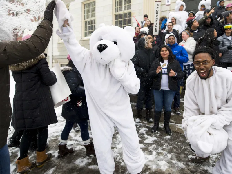 Julius Wade as Polar Bear - Housing Day (2019)