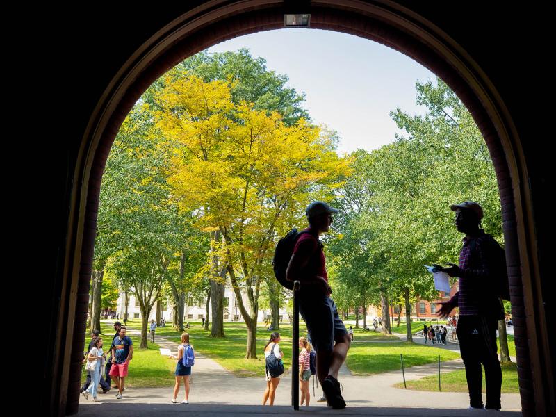 Students on building steps by lawn