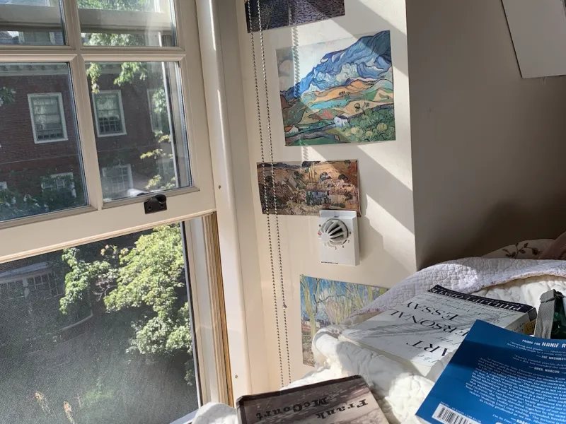 books scattered across a bed and a view of trees and sunlight through the window