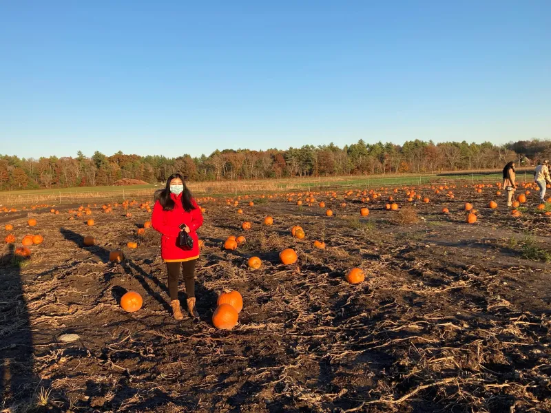 Girl in a field of pumpkins.