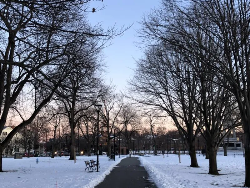 A pathway on a snowy winter day