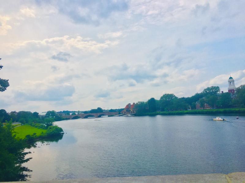 A picture of the Charles River overlooking Harvard's River Houses