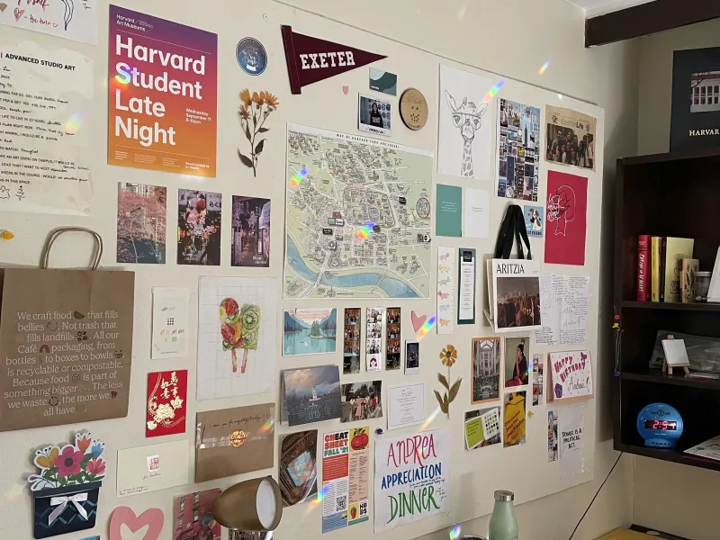 A wall decorated with momentos