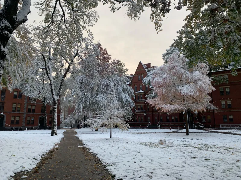 Harvard Yard covered in snow 