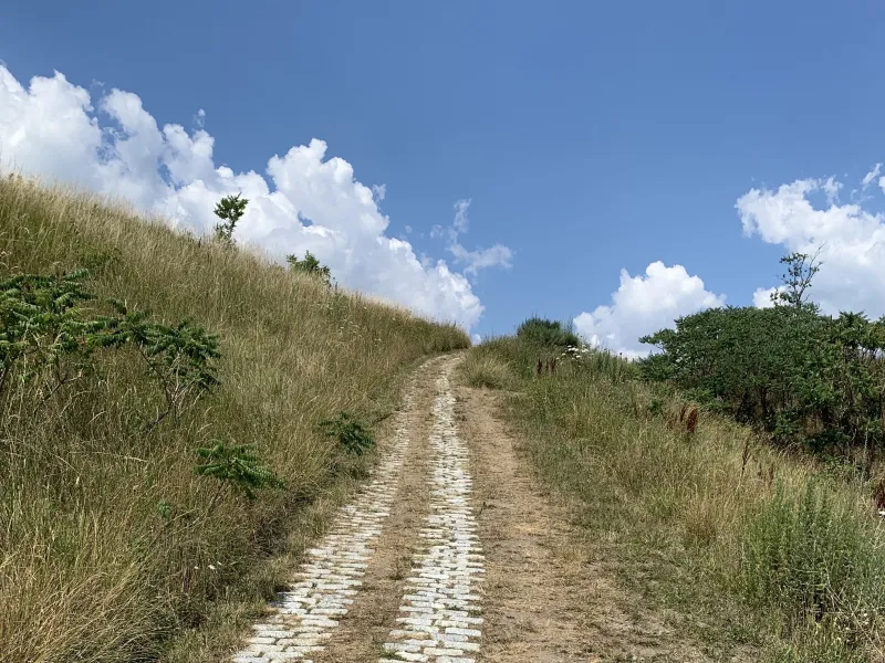 A concrete-bricked path cutting through a grassy hill under a blue sky.