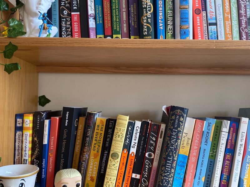 A picture of my bookshelf, featuring some figurines I have for decoration.