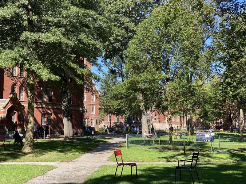 Picture of Harvard Yard