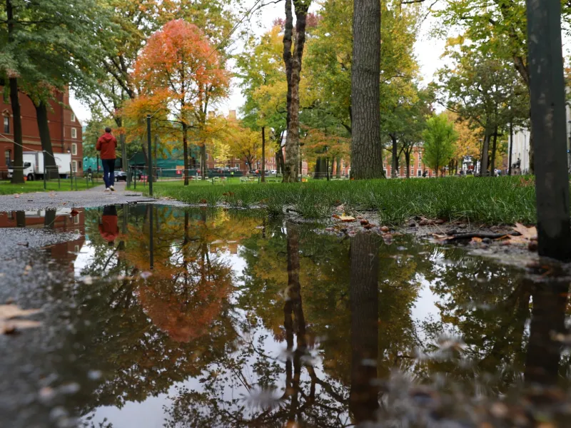 A view of Harvard Yard as it rains in the Fall