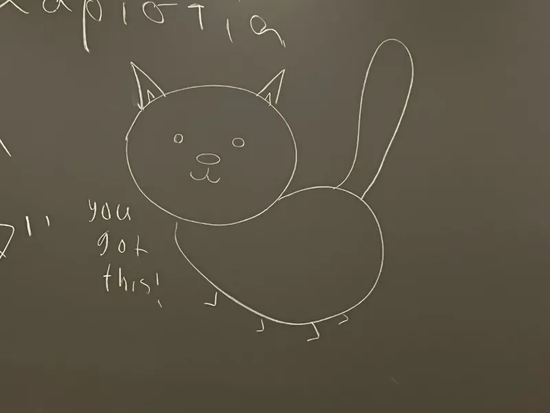 Drawing of a cat on a chalk board with the message "you got this!" written on the left