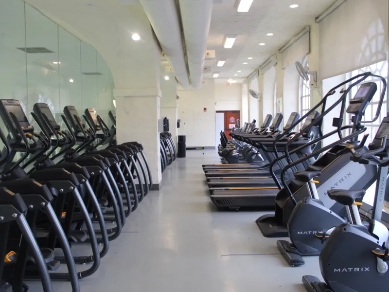 Row of treadmills and elliptical machines in a gym with large windows