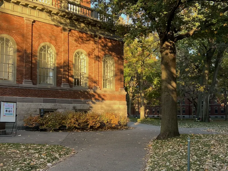 A path in Harvard's yard during the fall with green, yellow, and red leaves on the ground.