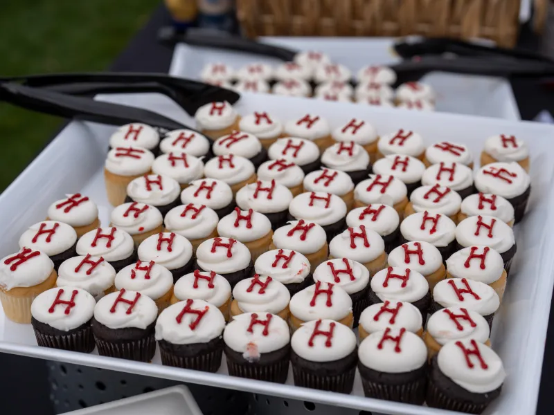 Harvard "H" cupcakes lined up in rows on a platter.
