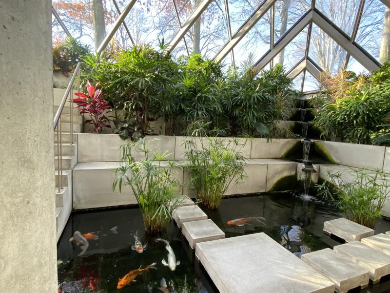 A filled koi pond and lush greenery inside Harvard Business School.