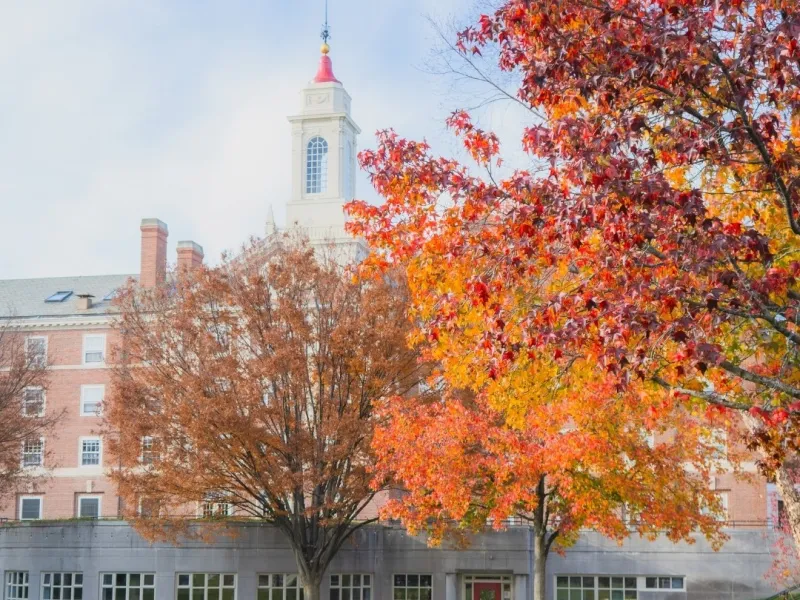 Harvard Campus on a Fall Day