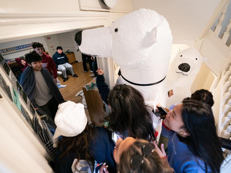 Students in inflatable polar bear costumes dormstorming first-years.