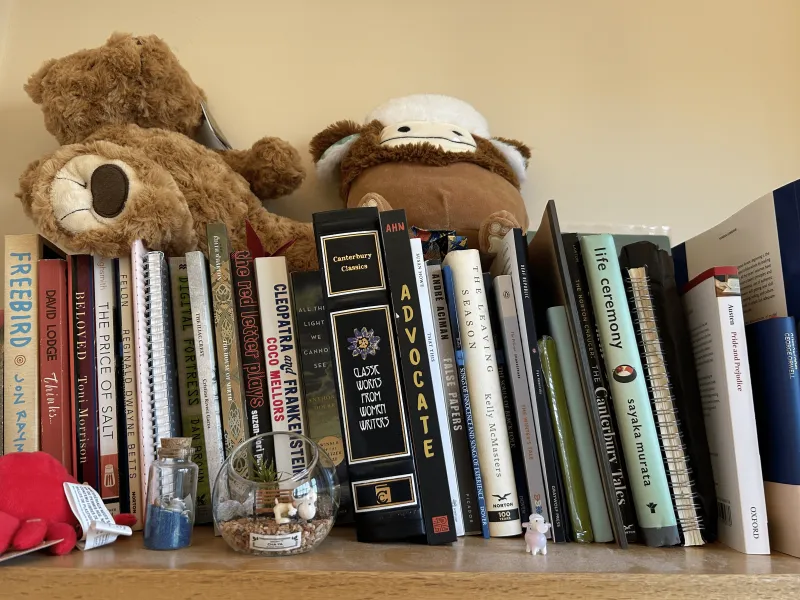 Books lined up on a shelf