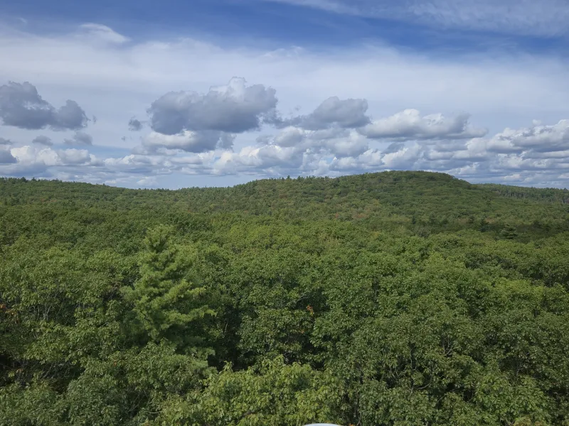 Aerial view of Harvard Forest