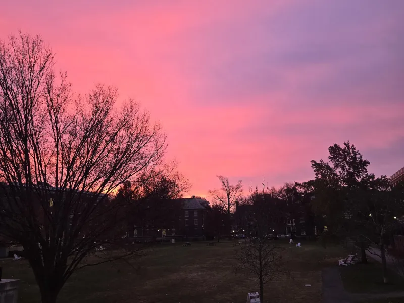pink sunset