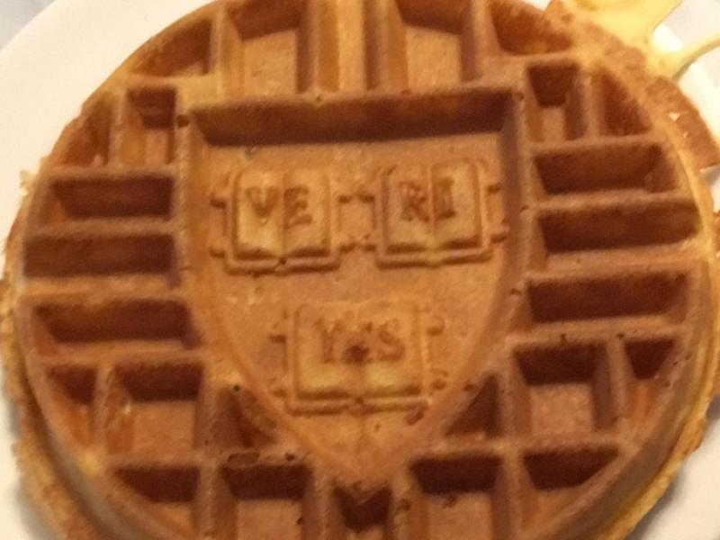 A waffle sits on a plate with the Harvard "veritas" crest imprinted in the center.