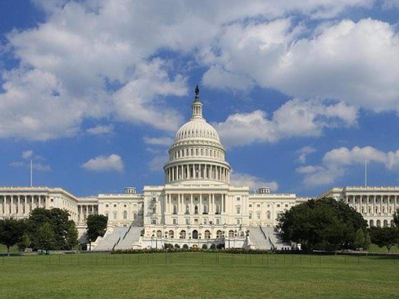 An image of the U.S. Capitol in Washington D.C.