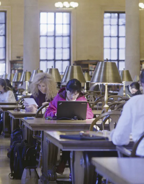 Students studying in Widener Library