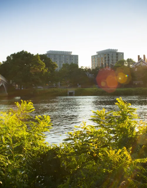 View of Campus from Charles River