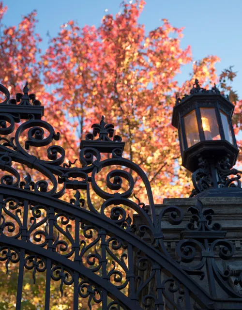 Close up of gates of Harvard Yard with fall foliage behind them