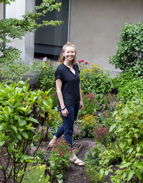 Christiana Akins from the Office for Sustainability worked with students to create rain gardens at Mather and Leverett Houses. The gardens help to alleviate some of the water puddling after rainstorms