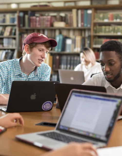 Two students studying in the library with laptops