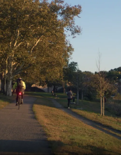 A cyclist goes down a path next to the Charles River