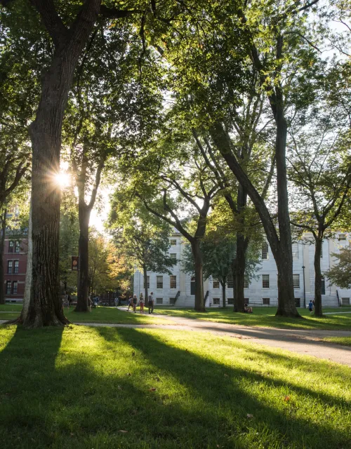 A student walks through Harvard Yard at dusk
