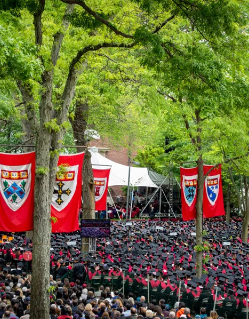 Tercentenary Theatre, in Harvard Yard, full of college graduates on the day of Commencement.