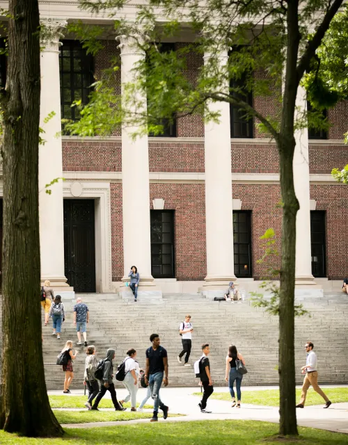 harvard yard widener library