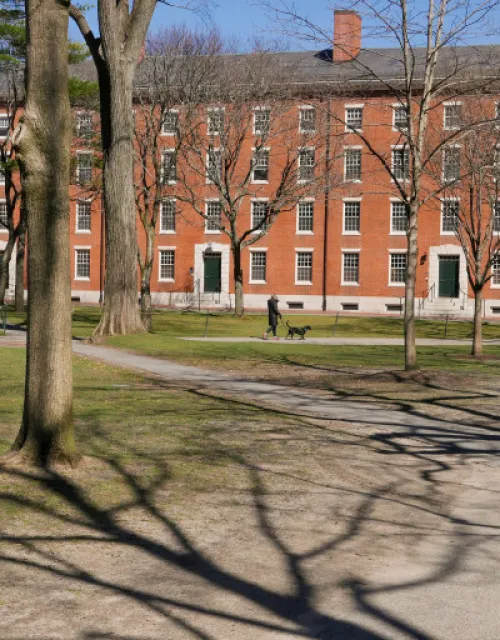 Harvard Yard following the departure of students in March.