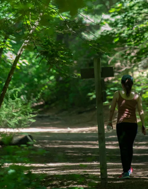Two individuals walking through the forest. 