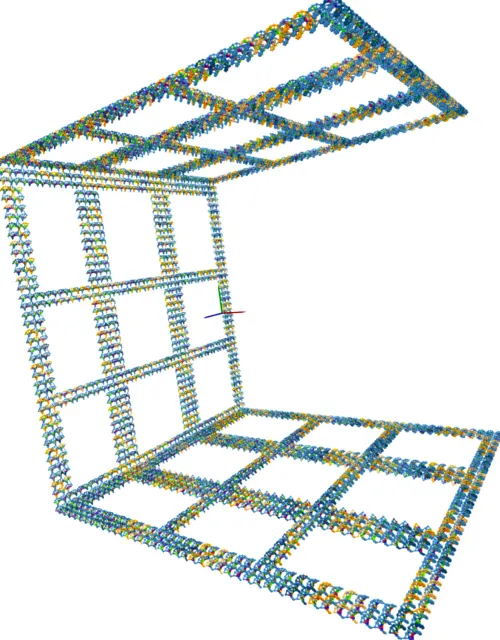A 3D model of the DNA microstructure the iGEM team is building using computational biology techniques.